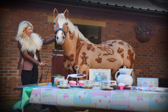 The design graduate insists welfare is at the center of her work. She assures that horses have been clipped for more than 100 years and that her subjects are not harmed by her art.