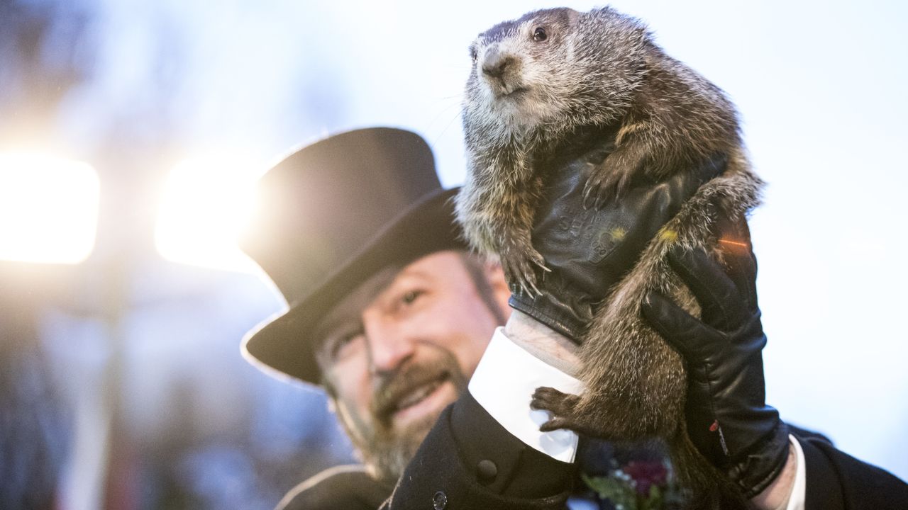 PETA is calling on the Punxsutawney Groundhog Club to let Phil retire -- and to be replaced by an animatronic groundhog. 