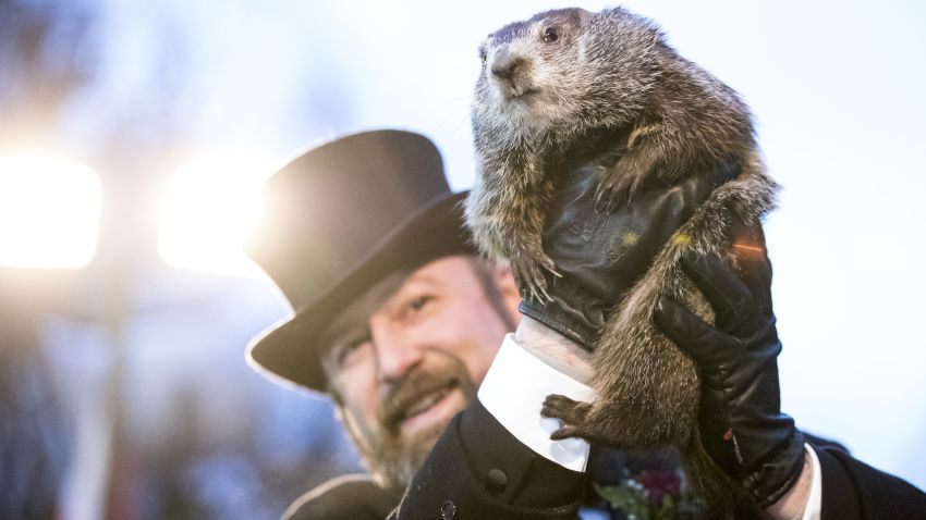 PUNXSUTAWNEY, PA - FEBRUARY 02: Punxsutawney Phil is held up by his handler for the crowd to see during the ceremonies for Groundhog day on February 2, 2018 in Punxsutawney, Pennsylvania. Phil predicted six more weeks of winter after seeing his shadow. Groundhog Day is a popular tradition in the United States and Canada where people await the sunrise and the groundhog's exit from his winter den. If Punxsutawney Phil sees his shadow he regards it as an omen of six more weeks of bad weather and returns to his den. Early spring arrives if he does not see his shadow, causing Phil to remain above ground. (Photo by Brett Carlsen/Getty Images)