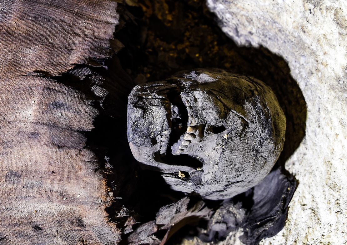 The partially uncovered skull of one of the mummies.