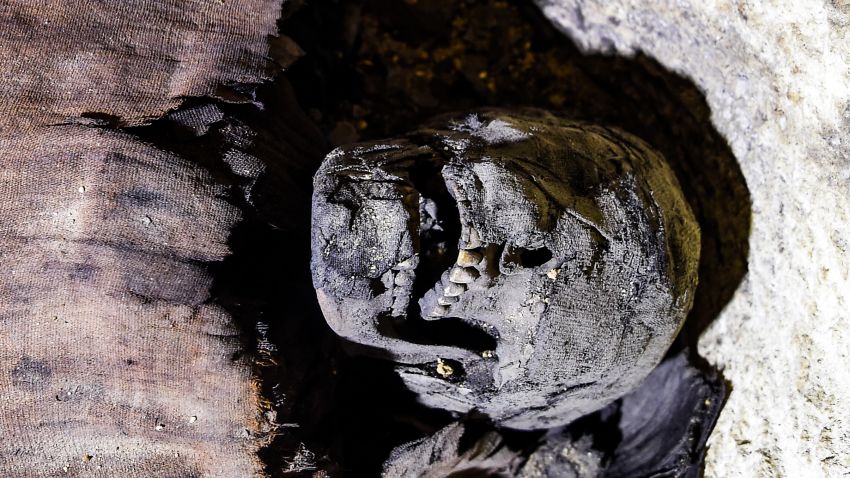 This picture taken on February 2, 2019 shows the partially-uncovered skull of a newly-discovered mummy wrapped in linen found in a burial chamber dating to the Ptolemaic era (323-30 BC) at the necropolis of Tuna el-Gebel in Egypt's southern Minya province, about 340 kilometres south of the capital Cairo. - Egypt's Antiquities Minister said on February 2 that a joint mission from the ministry and Minya University's Archaeological Studies Research Centre found upon a collection of Ptolemaic burial chambers engraved in rock and filled with a large number of mummies of different sizes and genders. The minister added that the newly discovered tombs may be a familial grave for a family from the elite middle class. (Photo by MOHAMED EL-SHAHED / AFP)        (Photo credit should read MOHAMED EL-SHAHED/AFP/Getty Images)