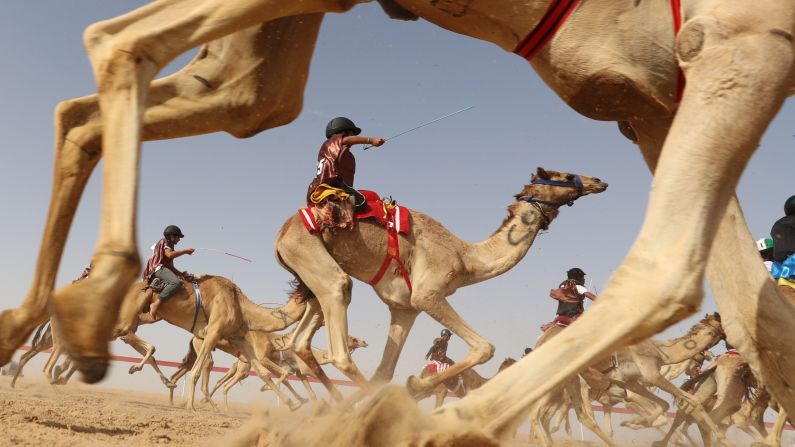 Jockeys ride camels during a race in Al Ain, United Arab Emirates, on Saturday, February 2.
