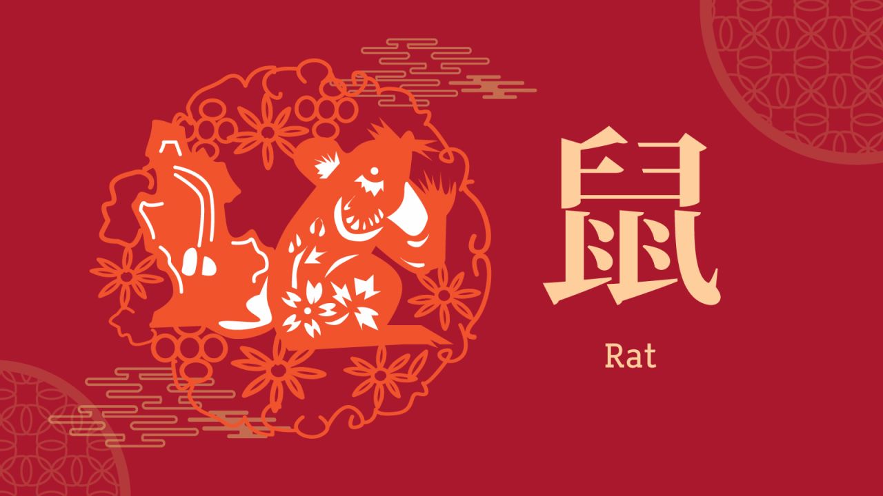 <strong>Rat: </strong>What lies ahead for 2019? It all depends on your Chinese zodiac sign. (See <a href="http://edition.cnn.com/travel/article/chinese-zodiac-year-of-pig-2019/index.html" target="_blank">accompanying article</a> to figure out yours.)  Let's kick things off with the Year of the Rat. Hong Kong Feng Shui master Thierry Chow says it'll be a good year for those born under this sign -- especially career-wise. Thinking of learning a new skill? Chow says it's also a positive time for self-improvement. 