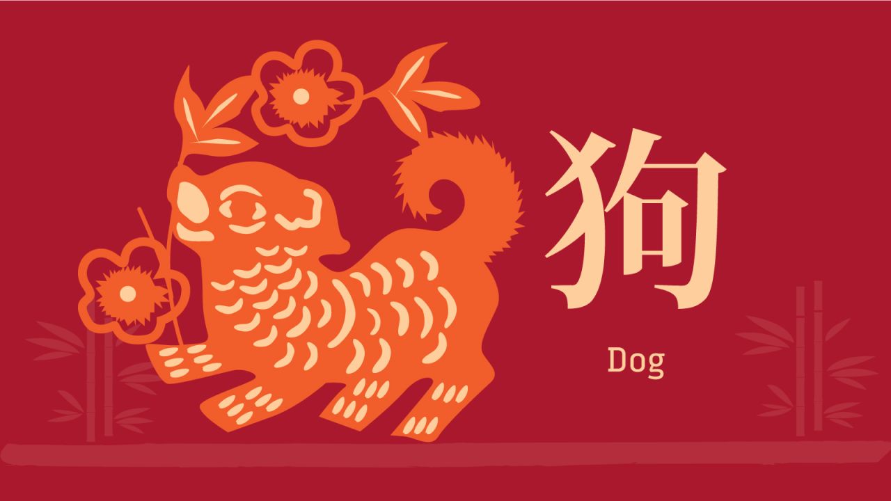 <strong>Dog: </strong>Coming out from a tough 2018, things will start to settle down again for people born in the Year of the Dog.  It'll be a positive year and you'll feel the negative energy leave you in the first two months. But don't rush things. You need time to recover, says Chow.