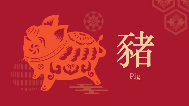 A Feng Shui rock star s guide to 2019 Will the Year of the Pig