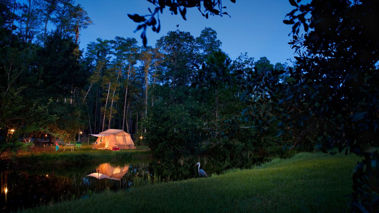 <strong>Campsites at Fort Wilderness:</strong> As a mix of cabins and campgrounds, Fort Wilderness is the most unique of Disney World's mid-range offerings. 