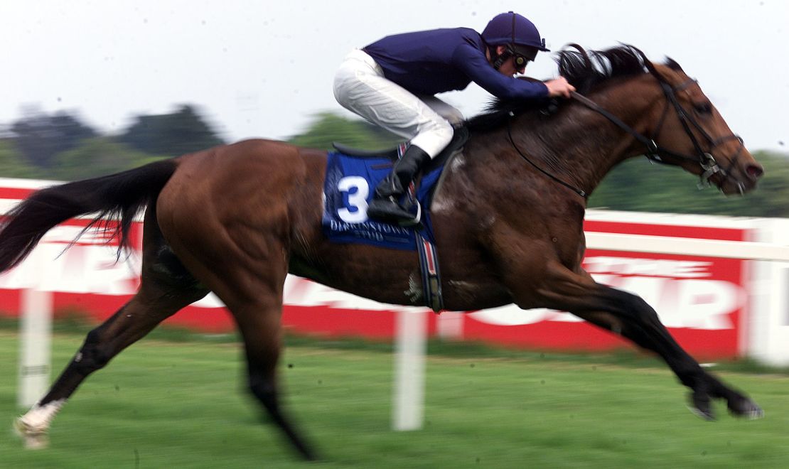 Galileo is considered one of the greatest stallions of all time. 