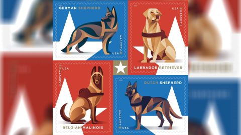The post office will honor military working dogs with stamps featuring breeds known for their work in the service. 