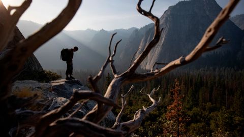Honnold started climbing in indoor gyms as a child.