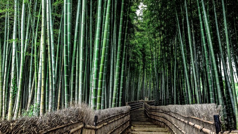 <strong>Kyoto, Japan</strong>: Strolling deep into a bamboo forest is another way to commune with nature -- and your beloved -- in Kyoto.