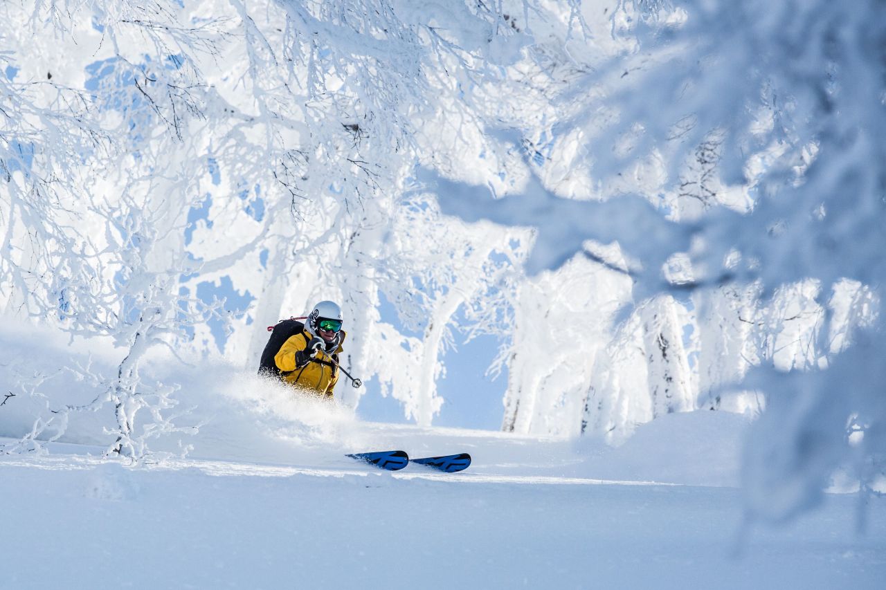 Hokkaido receives up to 60 feet of snow annually -- the perfect recipe for skiing through birch trees.