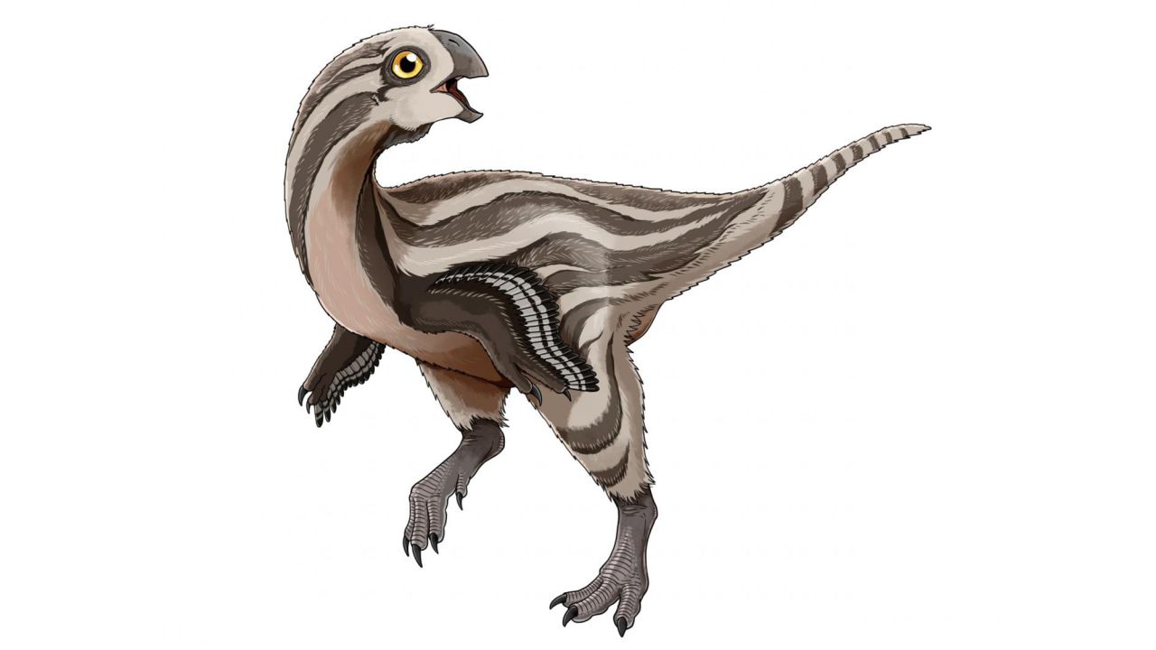 This is an illustration of what the Gobiraptor probably looked like.