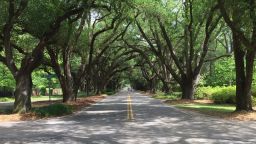 The oaks on South Boundary Avenue in Aiken, South Carolina, provide a natural archway and make for a lovely drive. May 5, 2018.