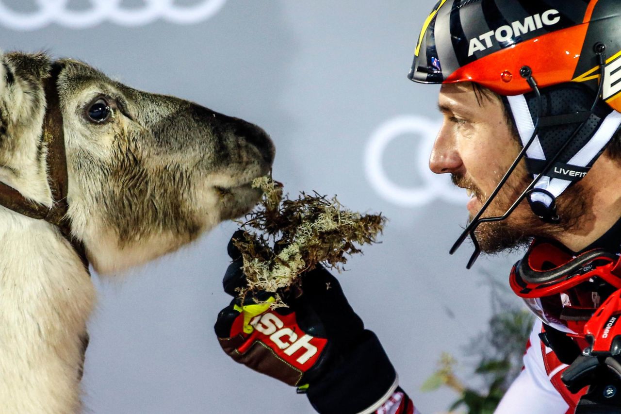 Marcel Hirscher shares his slalom victory in Levi, Finland, with a friend.