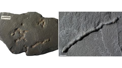Previously, the oldest traces of this kind dated to approximately 600 million years ago.