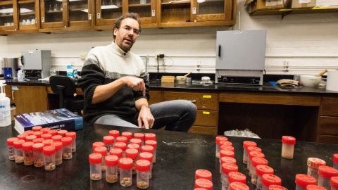 Tor Tornqvist studies climate change, here with soil samples used to assess how fast neighborhoods are sinking.