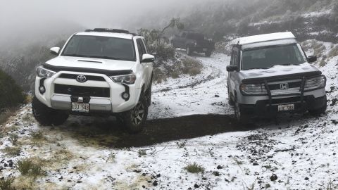 Snow on the ground in Polipoli Spring State Recreation Area in Kula, Hawaii on the island of Maui.
