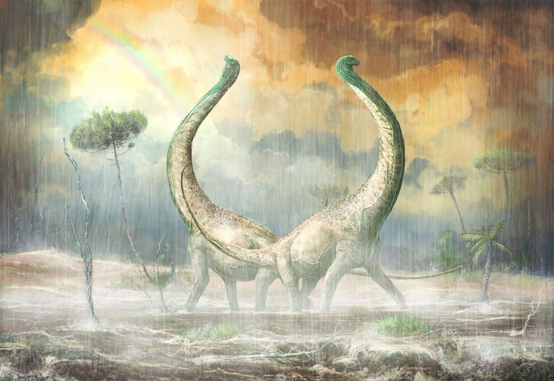 This is an artist's illustration of what the titanosaurs would have looked like in life.