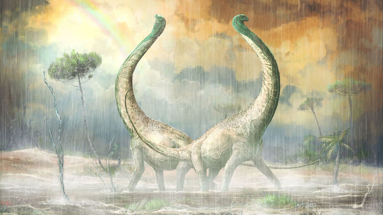 This is an artist's illustration of what the titanosaurs would have looked like in life.