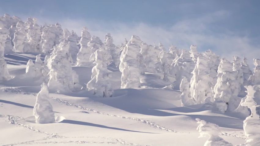 japan snow monsters zao vision_00003510.jpg