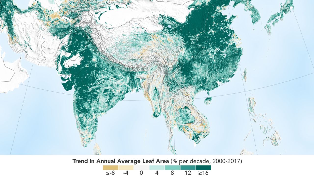 NASA satellite data reveals the Earth is greening, with China and India jointly responsible for a third of the increase.