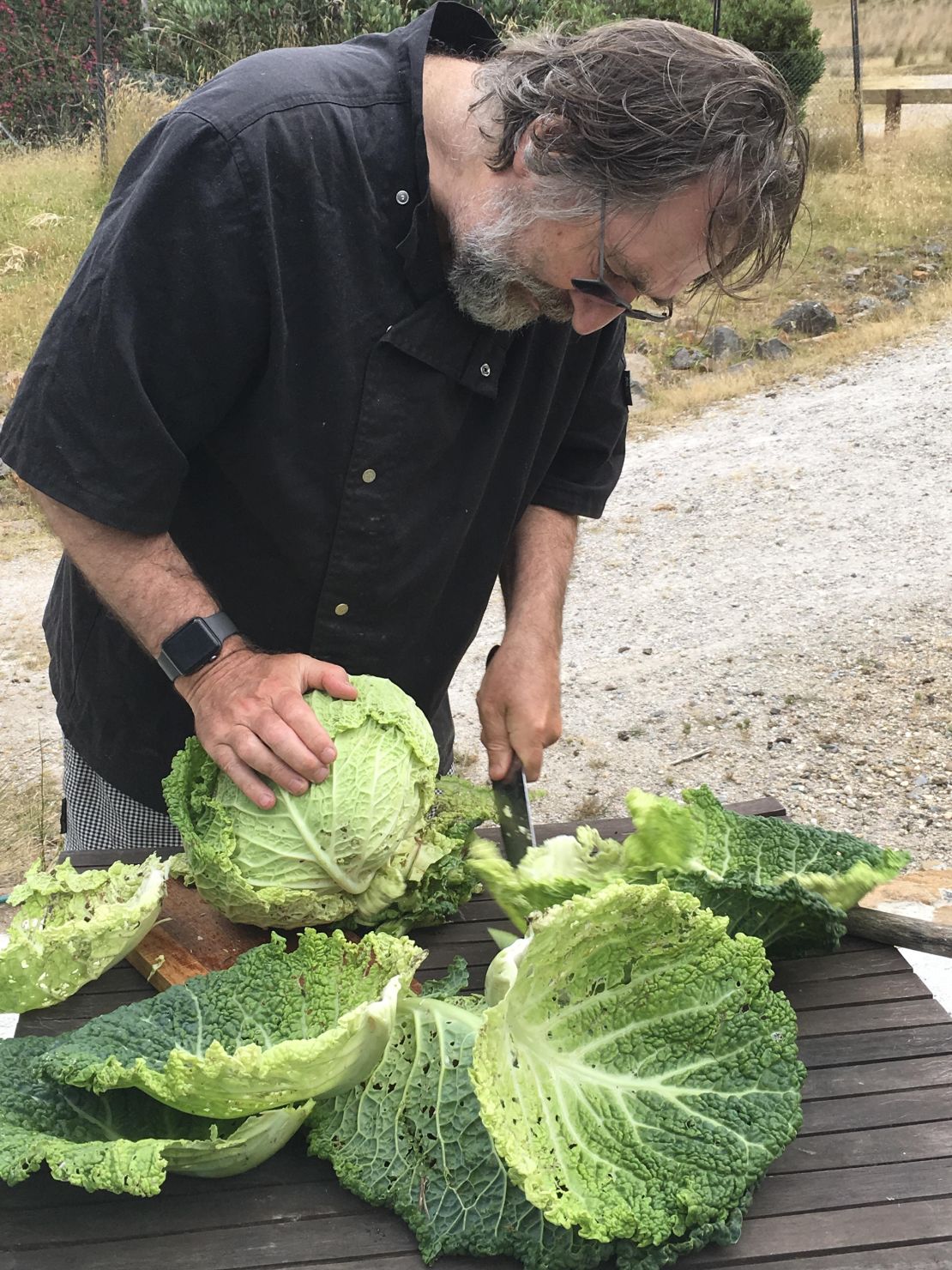 Forest Walks Lodge owner Sean Cadman breaks up the giant cabbage to use in meals.
