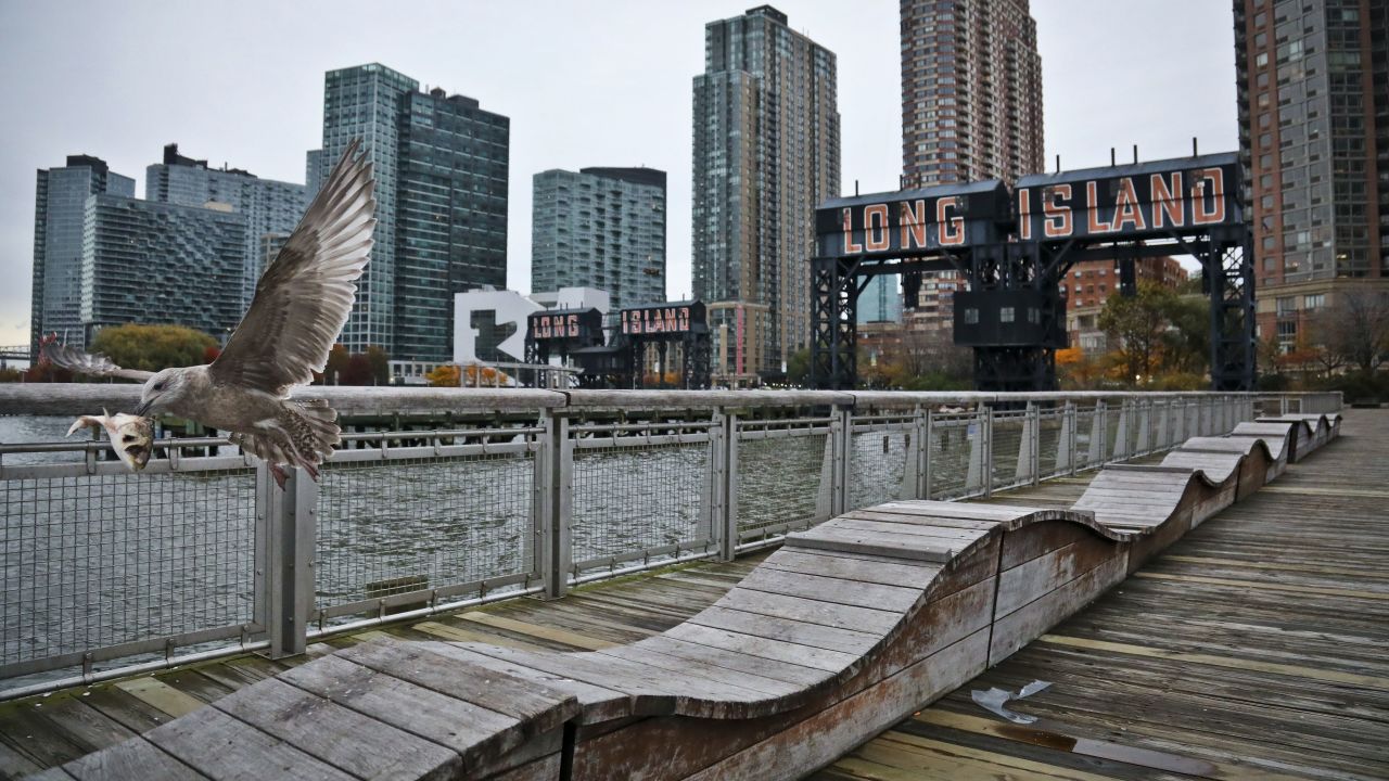 FILE - In this Nov. 13, 2018, file photo, a sea gull flies off holding fish scraps near a former dock facility, with "Long Island" painted on old transfer bridges at Gantry State Park in the Long Island City section of the Queens Borough in New York. Amazon said Thursday, Feb. 14, 2019, that it will not be building a new headquarters in New York, a stunning reversal after a yearlong search. (AP Photo/Bebeto Matthews, File)
