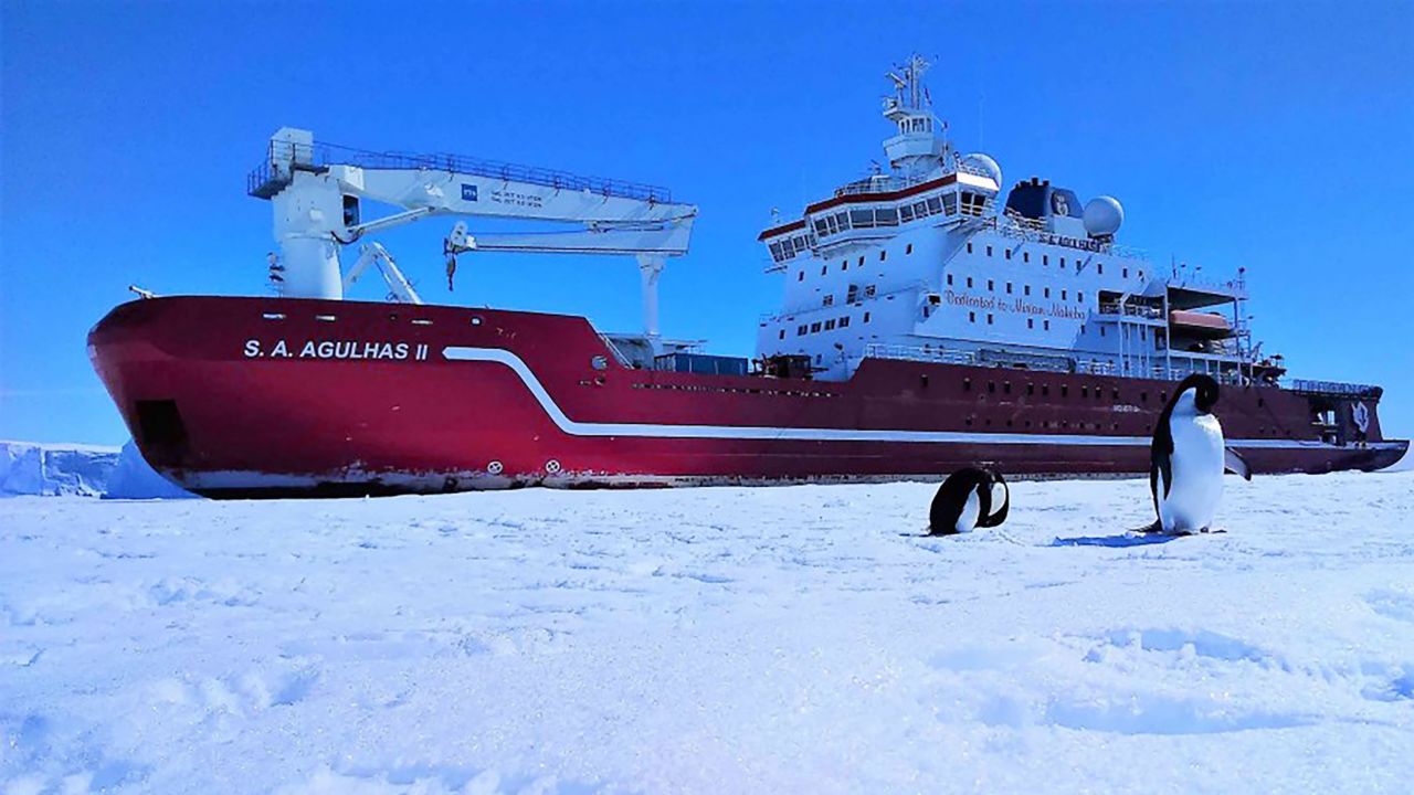 The Weddell Sea Expedition team abandoned the search for the Endurance, fearing the S.A. Agulhas II would become trapped in the ice. 