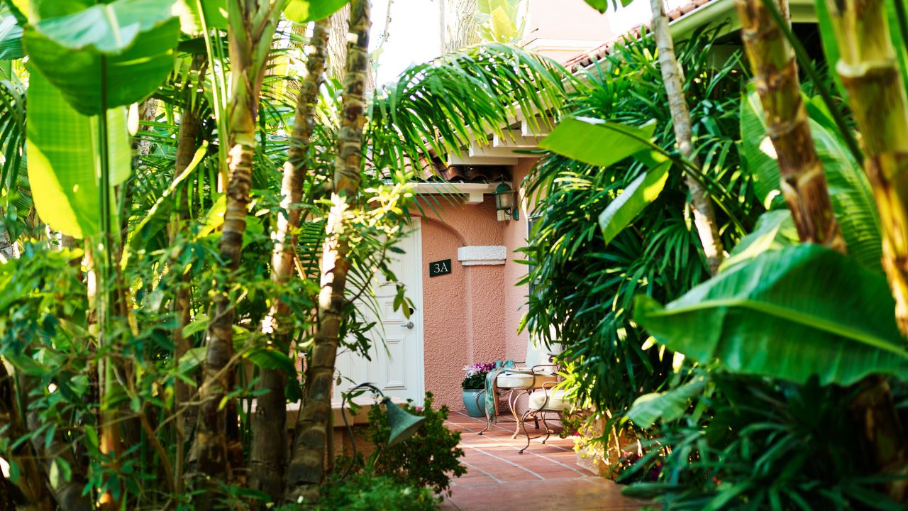 <strong>Lush grounds:</strong> The foliage provides plenty of privacy, just the way Hughes liked it.