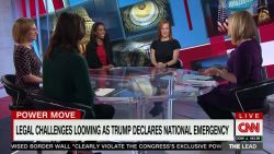 Lead Panel 1 Trump natl emergency live Pamela Brown_00000220.jpg