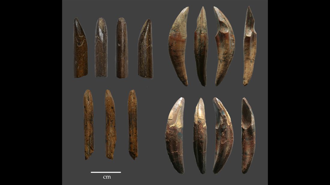 Examples of tools manufactured from monkey bones and teeth recovered from the Late Pleistocene layers of Fa-Hien Lena Cave in Sri Lanka show that early humans used sophisticated techniques to hunt monkeys and squirrels.