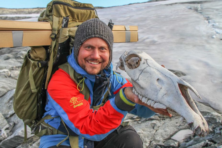 This packhorse cranium is 300 years old. Archaeologists have found remains of dead packhorses where an old mountain route crossed the ice.  