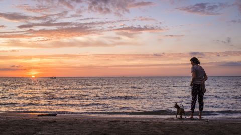 A beachgoer and her dog pause along the Lake Erie shore.