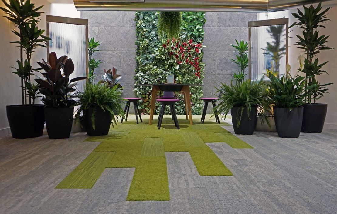 Biophilic design reconnects humans with nature.