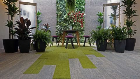 Biophilic design reconnects humans with nature.