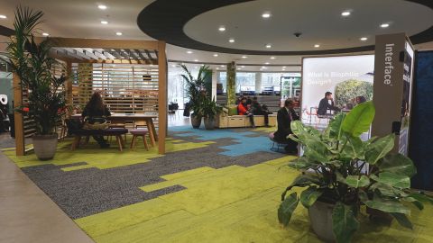 A report by Human Spaces found that natural light and plants can increase employee productivity.