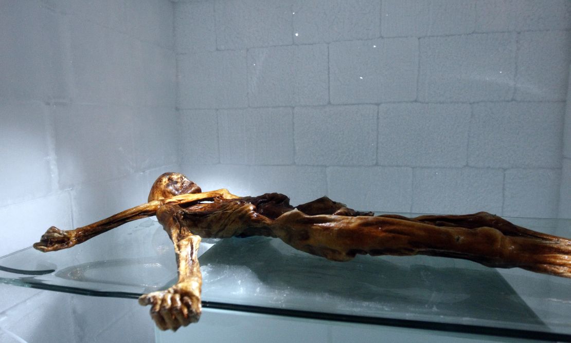 The mummy of Otzi the Iceman lies on display at the Archaeological Museum of Bolzano in Italy. 