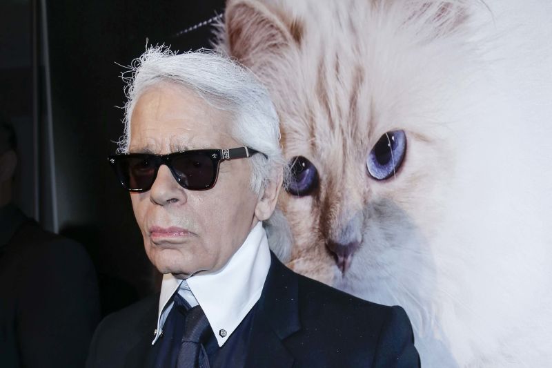 Karl lagerfeld discount choupette collection shop