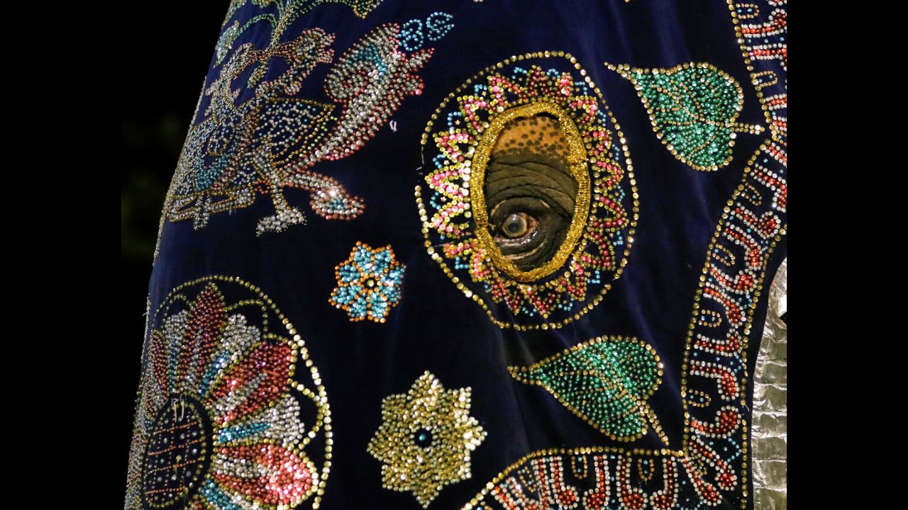 An elephant is dressed up for a Buddhist festival in Colombo, Sri Lanka, on Tuesday, February 19.