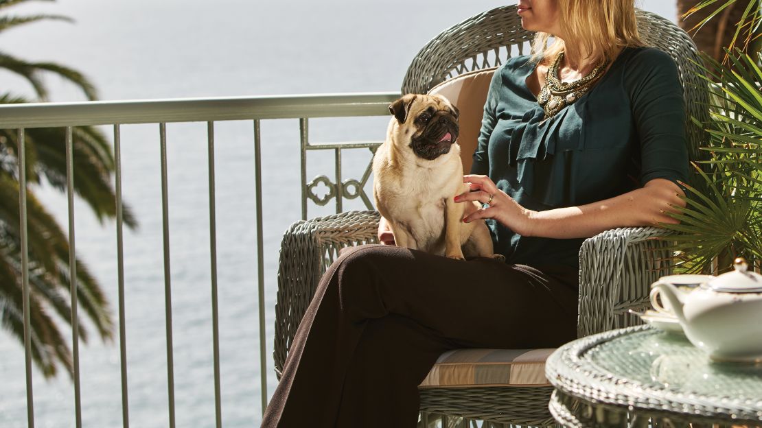  A luxury wash and fluff dry service, calming full body grooming and personal training sessions are just some of the indulgent services available to dogs who stay at Belmond Reid's Palace in Portugal.
