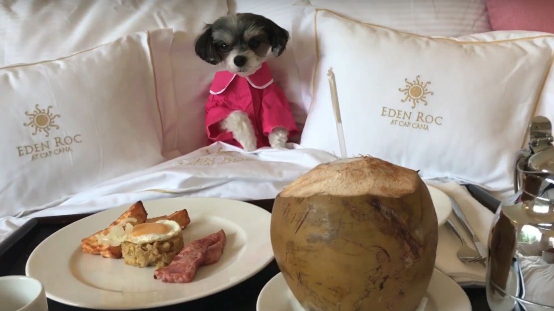 Eden Roc Cap Cana's VIP (Very Important Paws) service for canines will delight dog-obsessed owners.