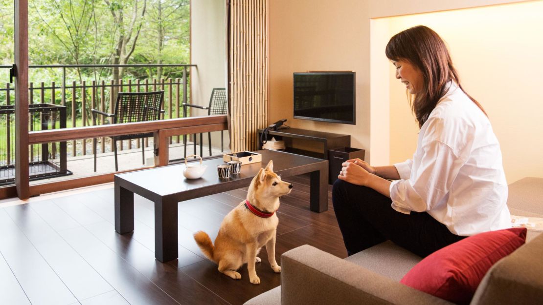 The hotel's specially designed dog rooms feature pet towels, bowls, an outdoor dog run and even private hot spring baths for both pooches and people.