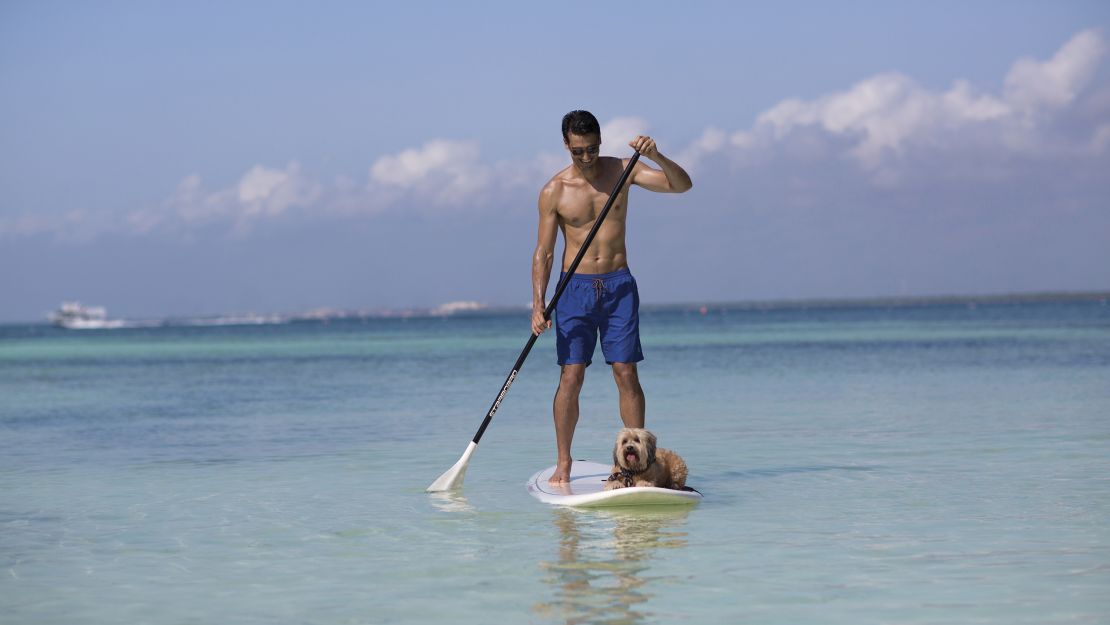 NIZUC welcomes both dogs and cats up to 4.5 kilos and here there's even an option to take your pup out paddleboarding.