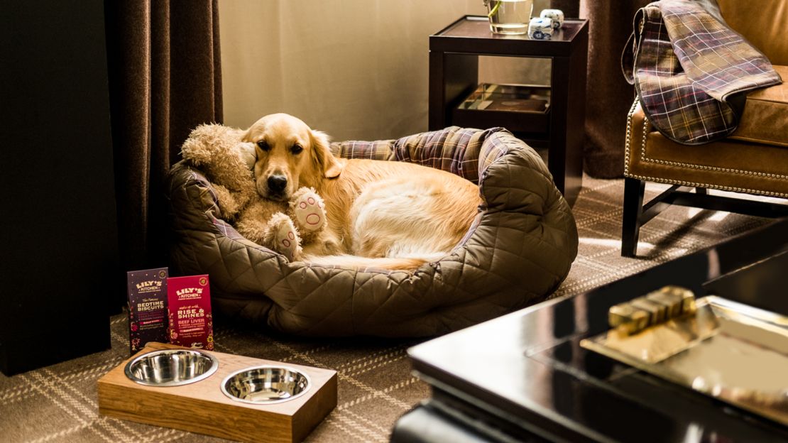 The Rosewood Hotel London wants to pamper your pet; there's even a luxury canine package for folks who want to really treat their pup.