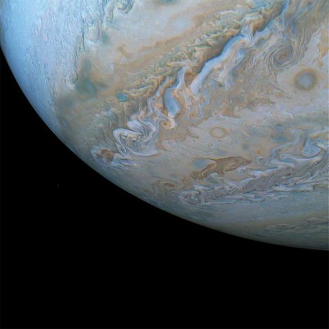 Is that a dolphin on Jupiter? No, but it definitely looks like one. It's actually a cloud that looks like it's swimming through cloud bands along the South Temperate Belt.