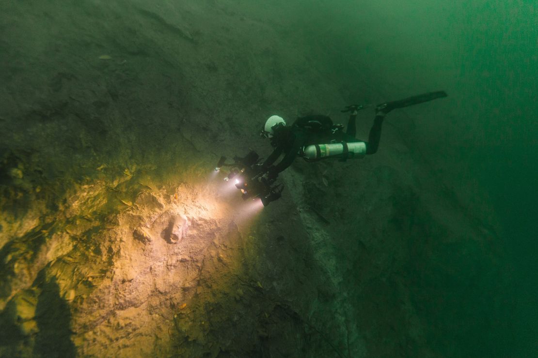 Fossils were found embedded in a cenote wall.