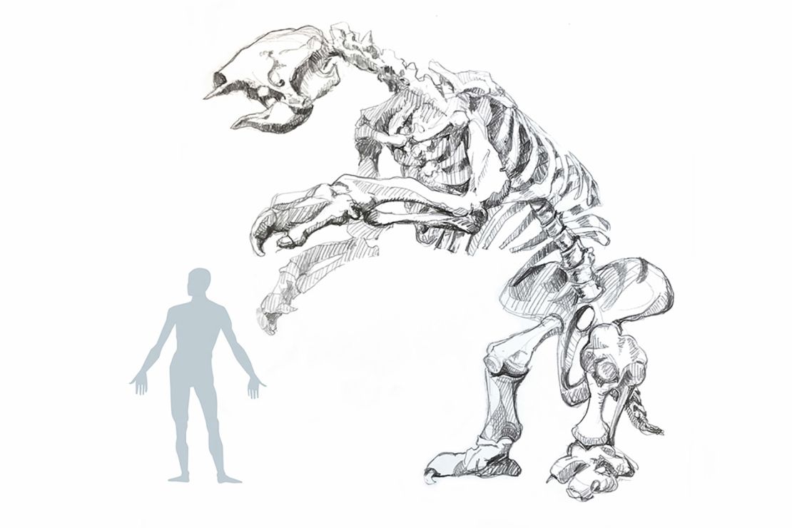 This extinct giant sloth could grow to more than four meters in height.