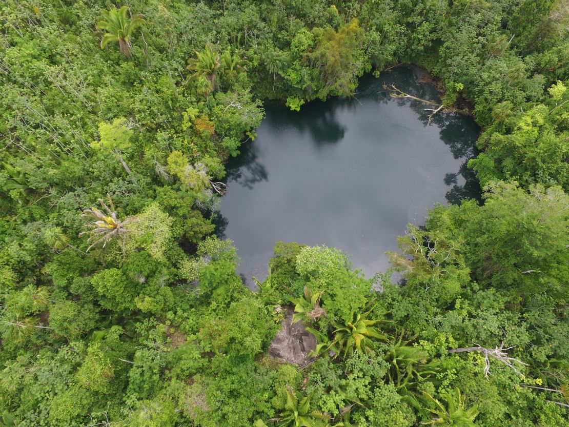 The cenote where the fossils were recovered.