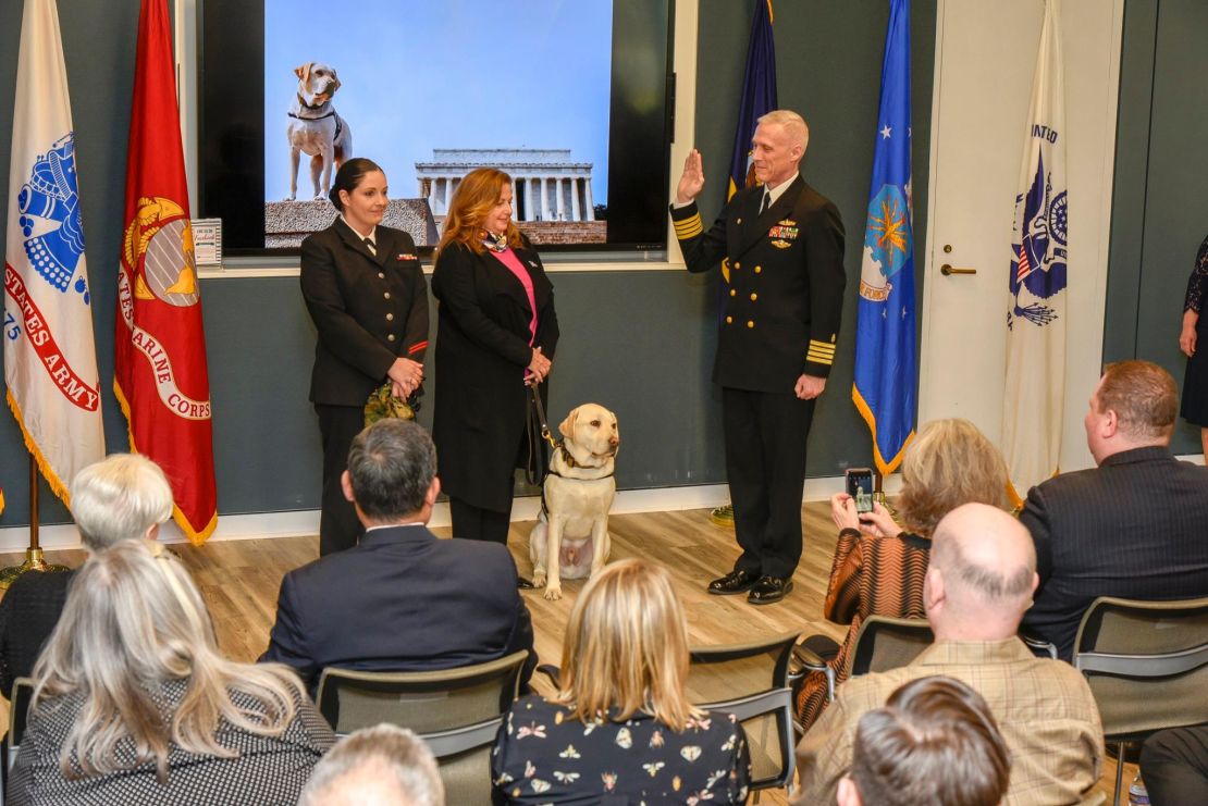 Sully H.W. Bush, former service dog to the late President George H.W. Bush, being sworn in at the Walter Reed National Military Medical Center on February 27, 2019 in Bethesda, Maryland.
