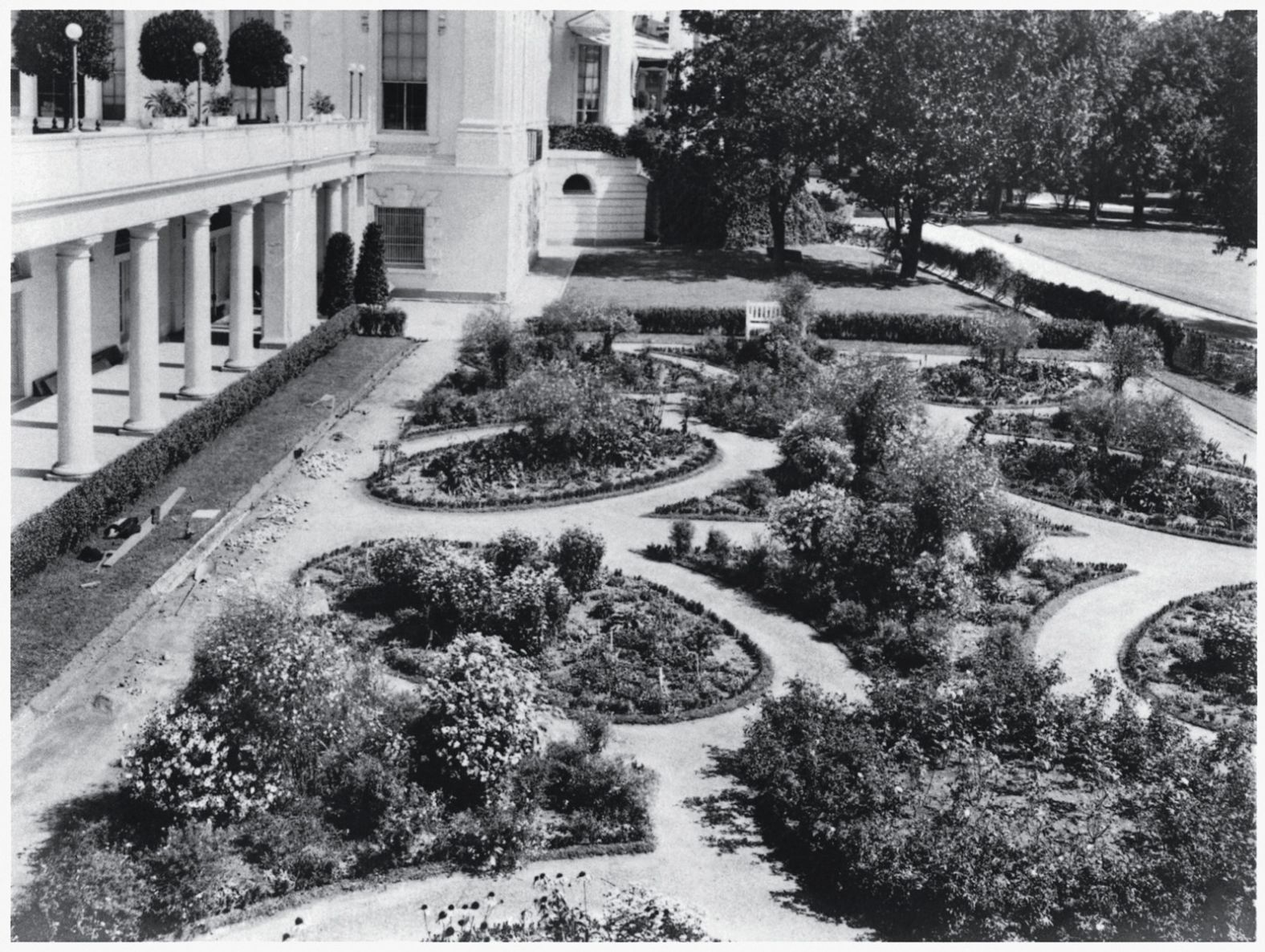 This photo shows the colonial garden on the west side of the White House grounds during the administration of Theodore Roosevelt, sometime in 1902 or 1903. The garden was designed by first lady Edith Roosevelt and featured paisley-shaped flower beds.